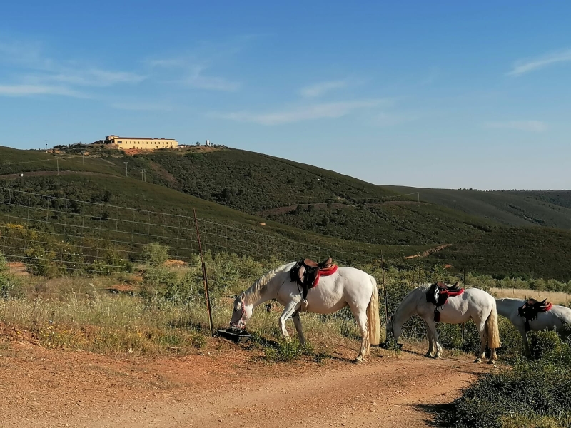 rando à cheval Espagne