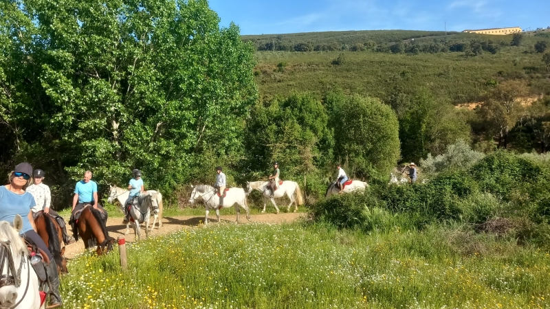 Horseback Trail Ride in SPAIN : THE SIERRA DE GREDOS & CASTLES