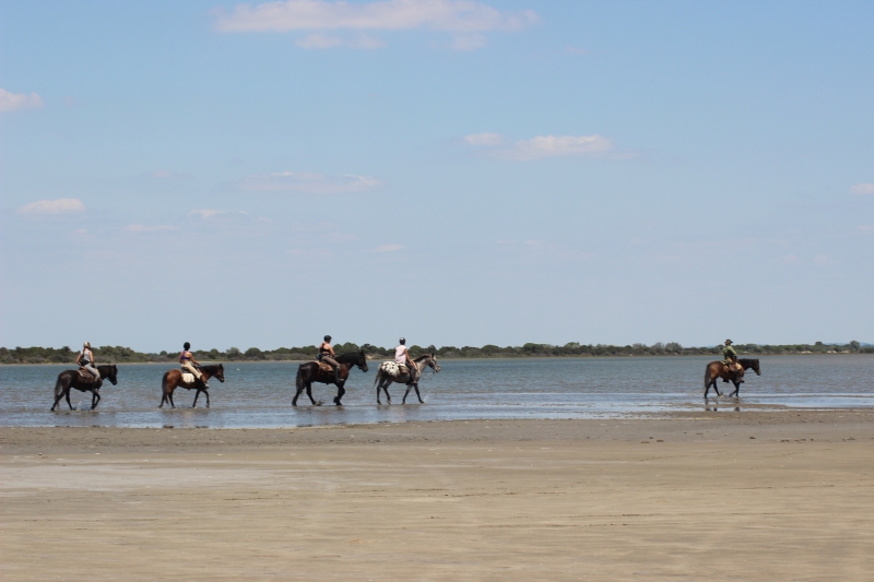 a cheval en provence