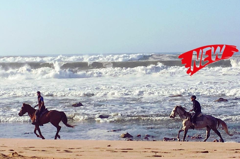 Morocco on horseback