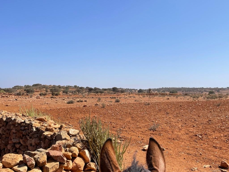 horseback riding  in morocco