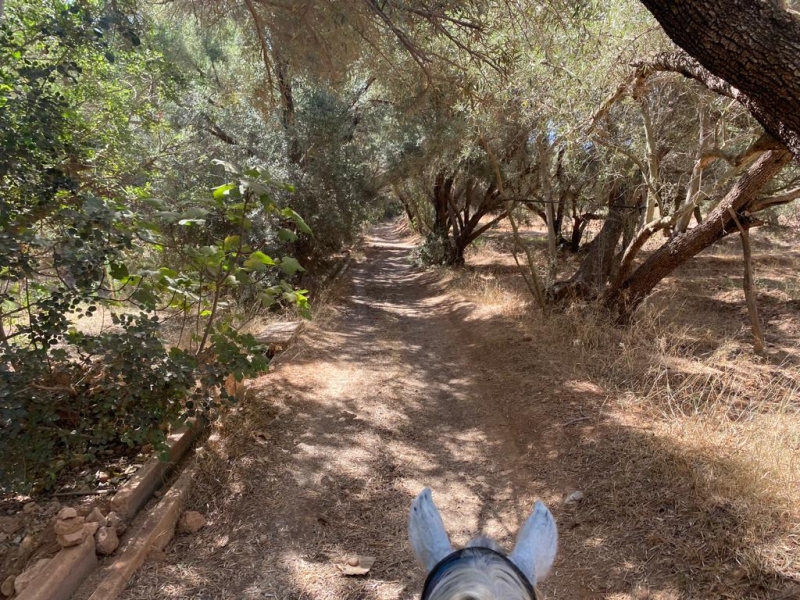 Morocco horseback trail riding