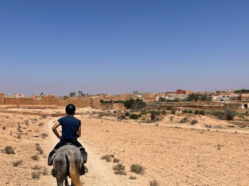 Morocco on horseback