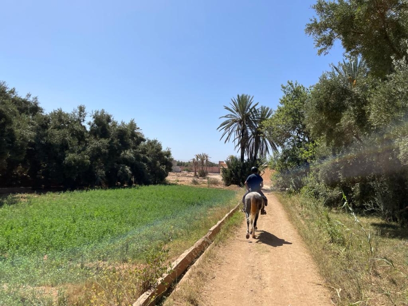 Morocco horse riding