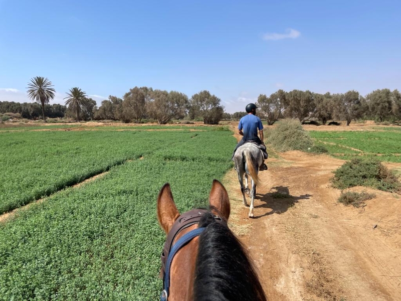 Morocco horse riding