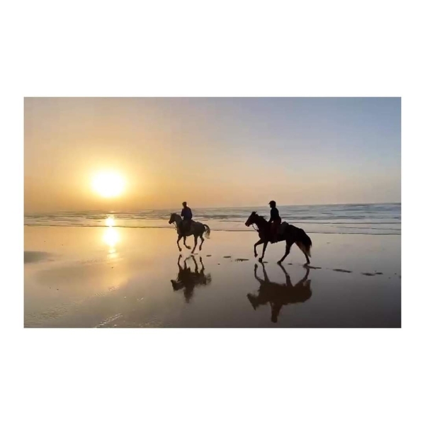 Morocco horse riding