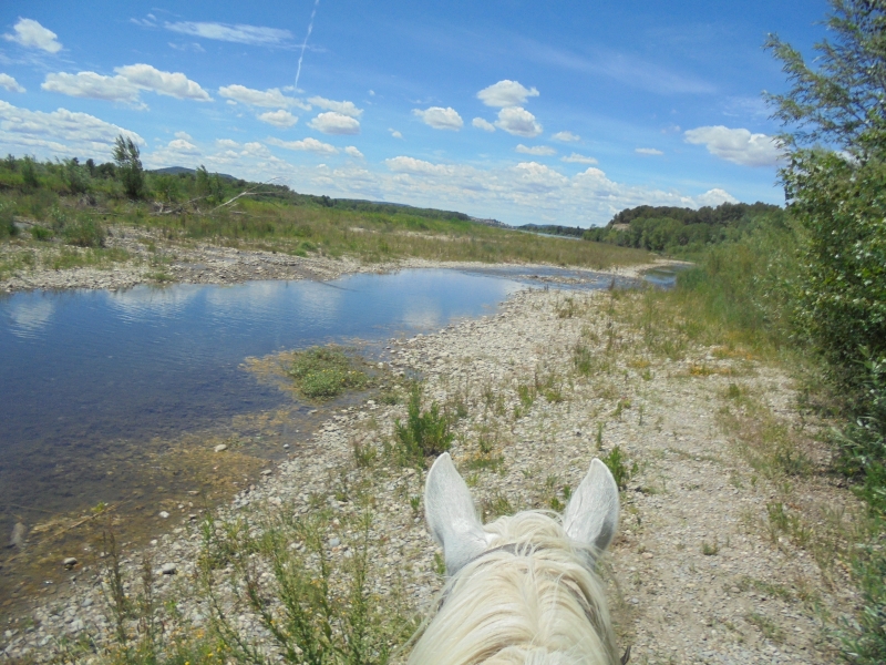 Provence cheval