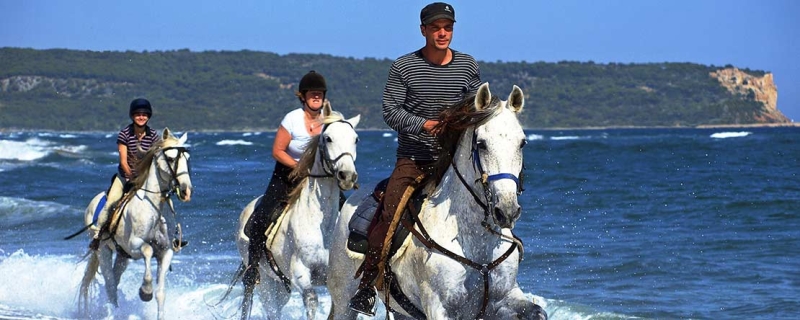 horse riding in spain