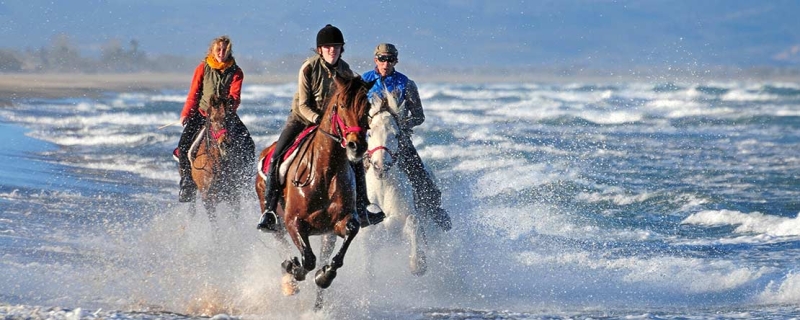 horse holiday spain