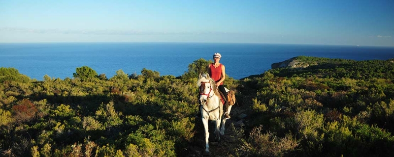 horseback riding in spain