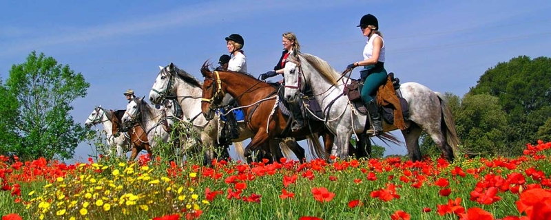 horseback trail ride in spain