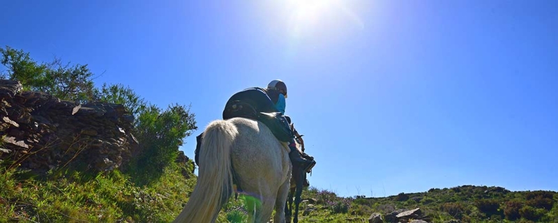 horse trail ride spain
