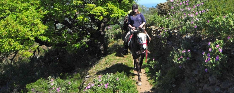 horse riding holiday spain