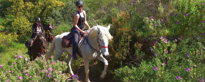 horseback trail ride in spain