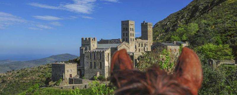 horse trail ride in spain