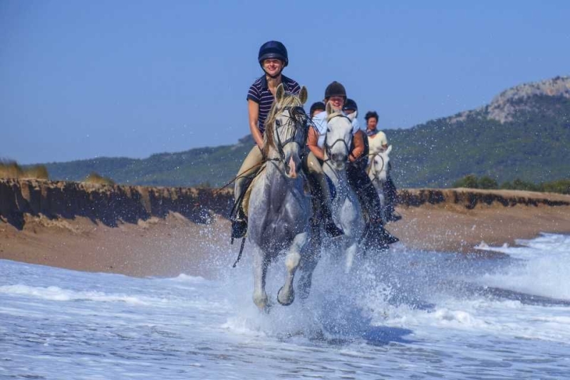 horse riding holiday spain