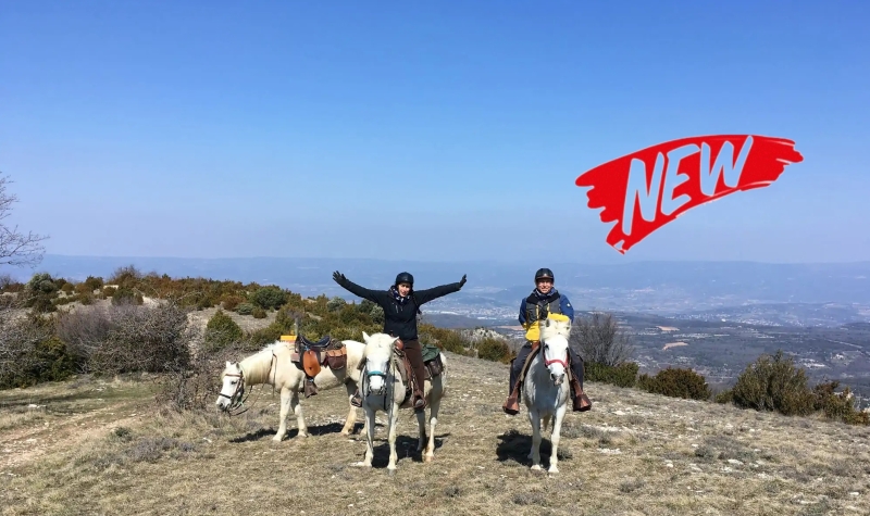 horseback holiday in provence