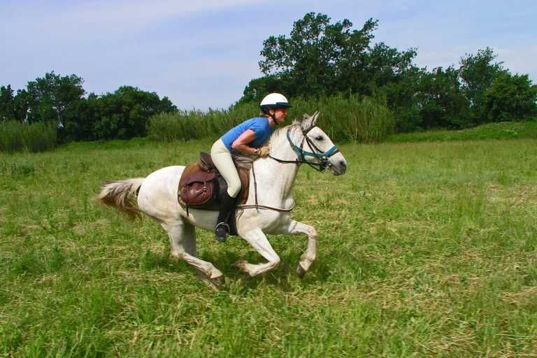 horseback trail ride in spain