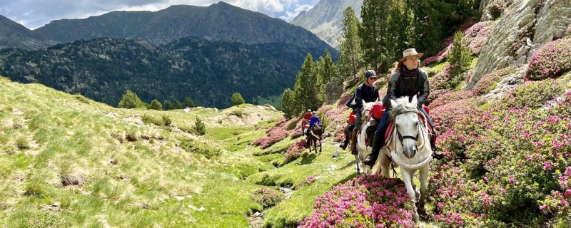 horse trail ride spain