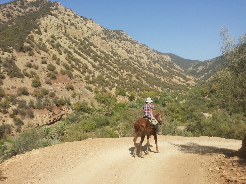 horse trail ride in morocco