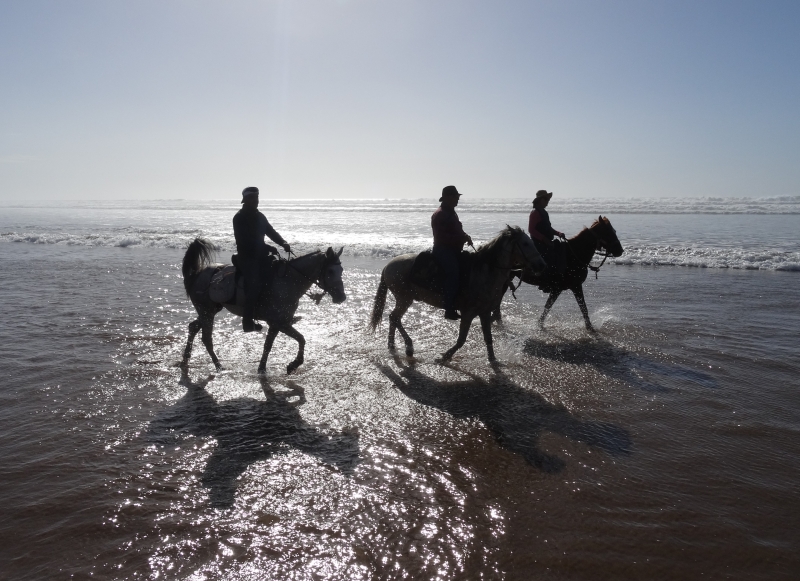 visit morocco on horseback