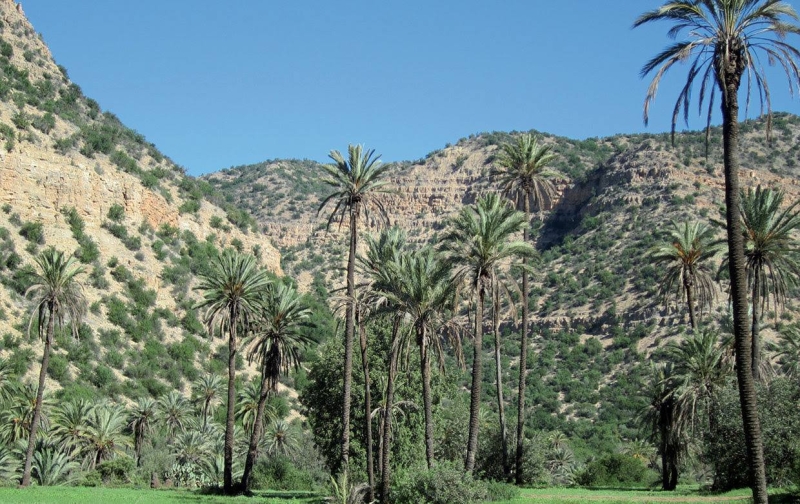 equestrian holiday in morocco