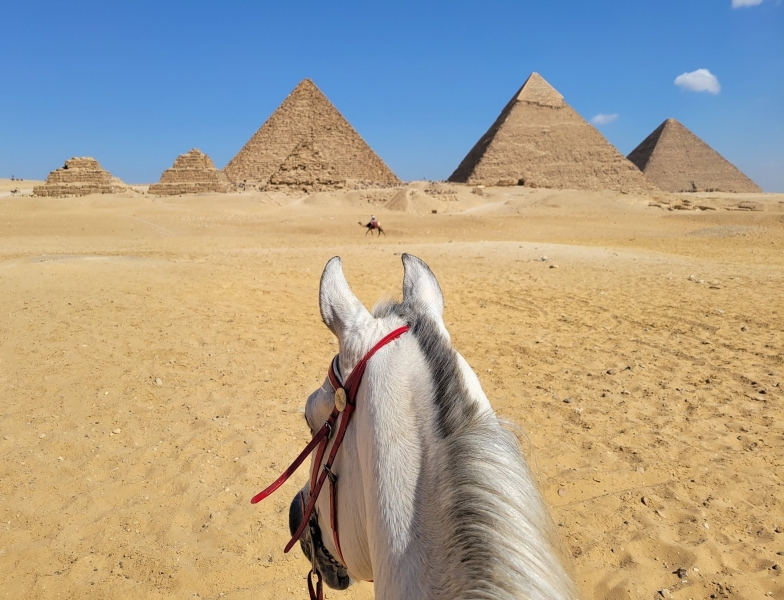 horseback trail ride in Egypt
