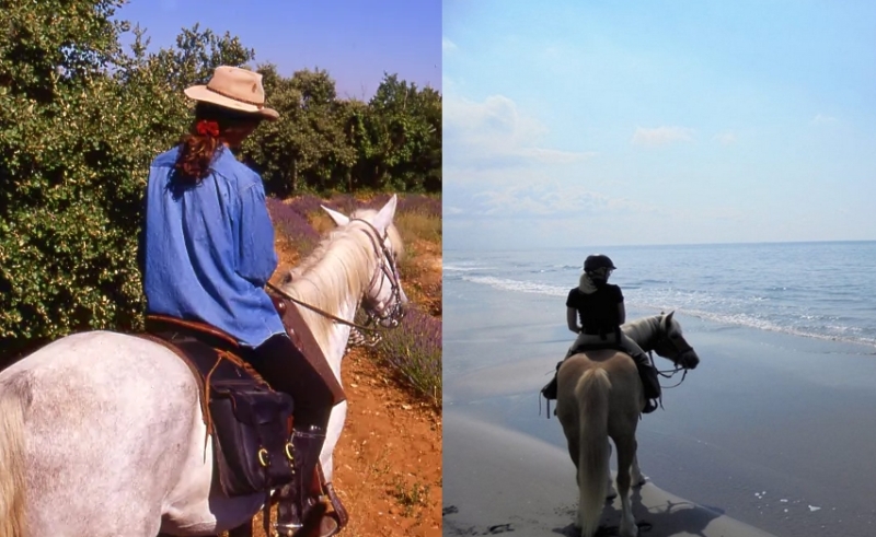 horseback riding trip in provence