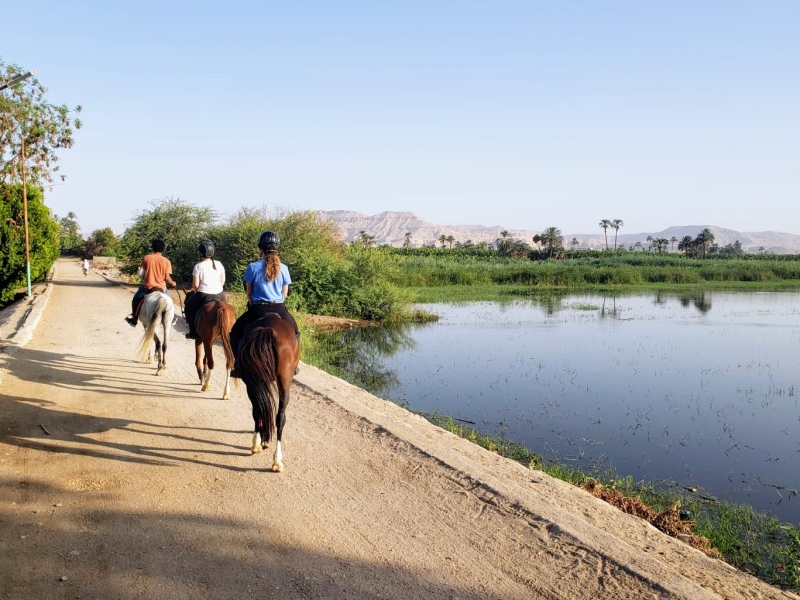 week horse riding holiday in Egypt