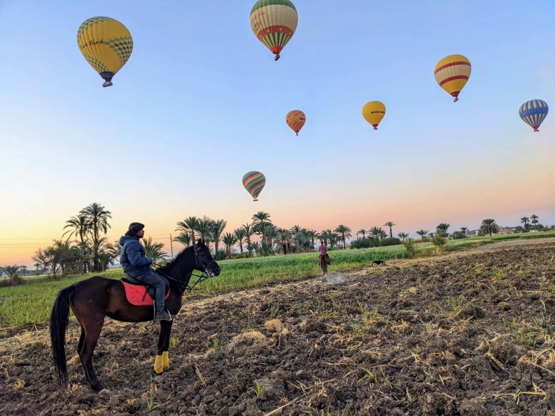 horseback vacation in Egypt