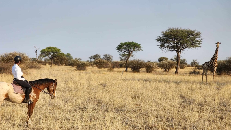 African explorer safari