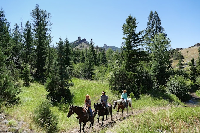 ssejour en ranch dans le montana usa