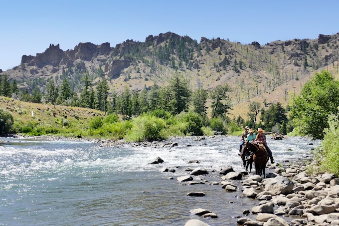 voyage cheval montana usa