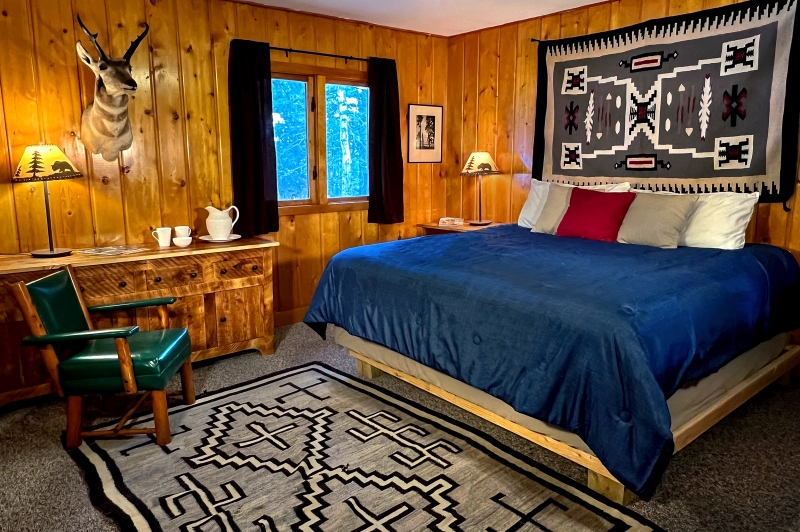 voyage cheval montana usa