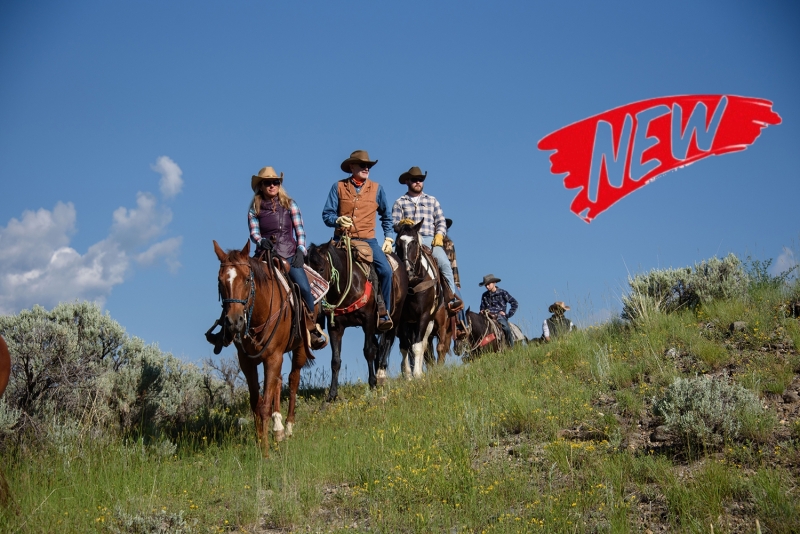 voyage a cheval usa