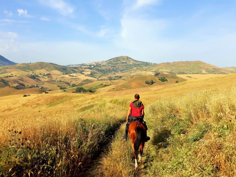 rando cheval Sicile