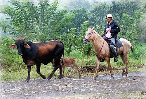 horseback riding trip in jordan