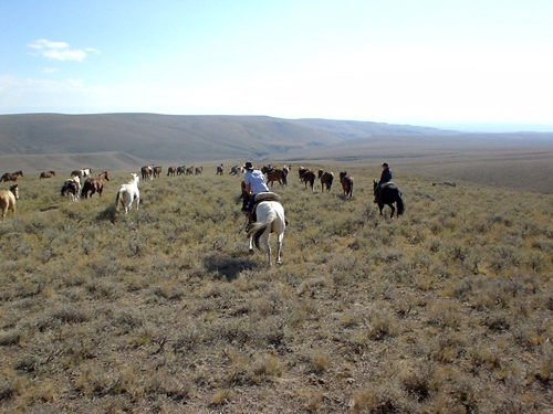 voyage a cheval usa