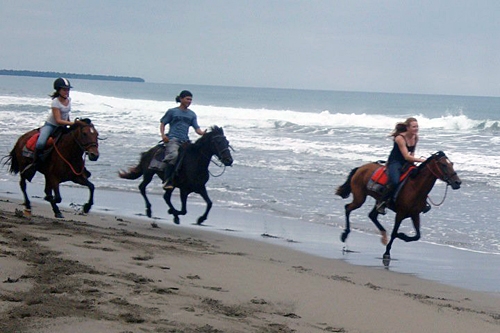 horseback riding vacation in jordan