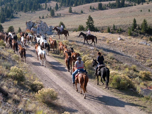 randonnee a cheval montana