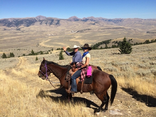 cheval dans un ranch usa