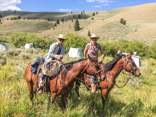 voyage cheval montana usa
