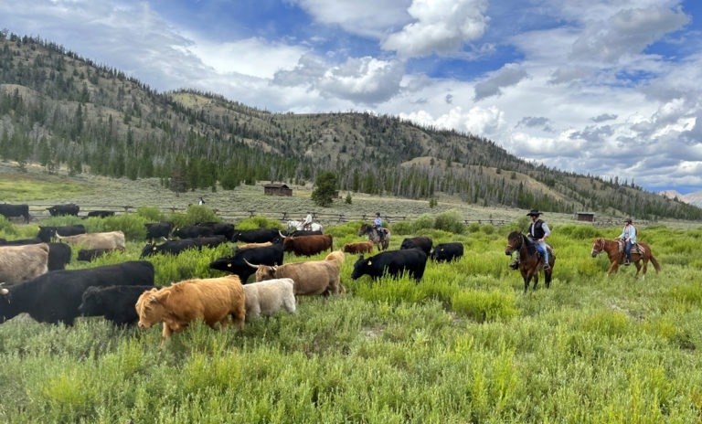 vacances ranch cheval Wyoming