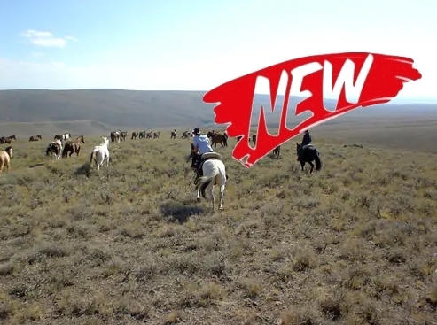 voyage a cheval usa