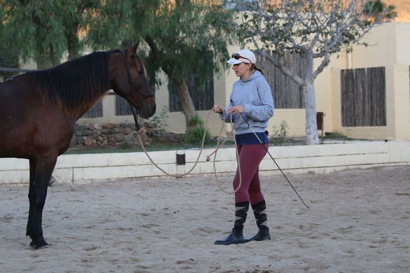 horseback riding in Andalusia