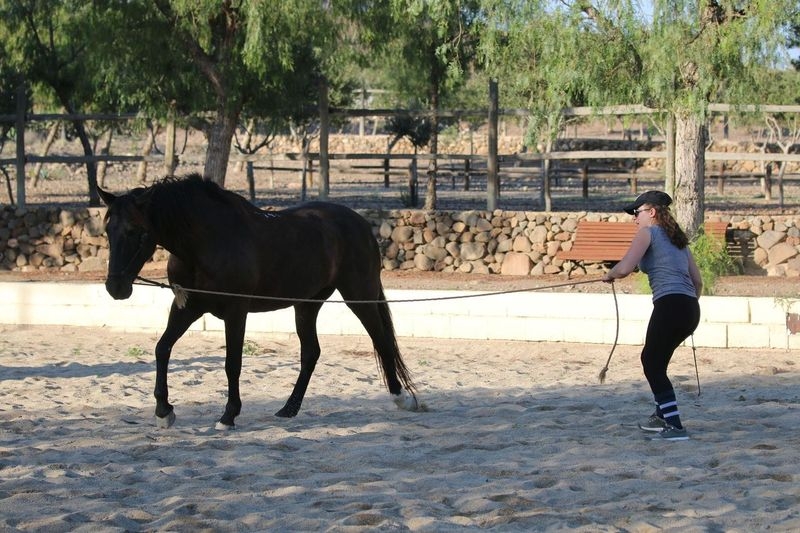 horseback riding vacation in Andalusia