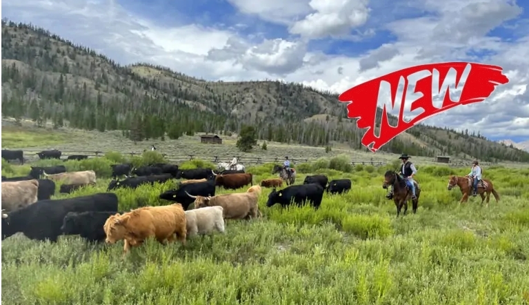 vacances ranch cheval Wyoming