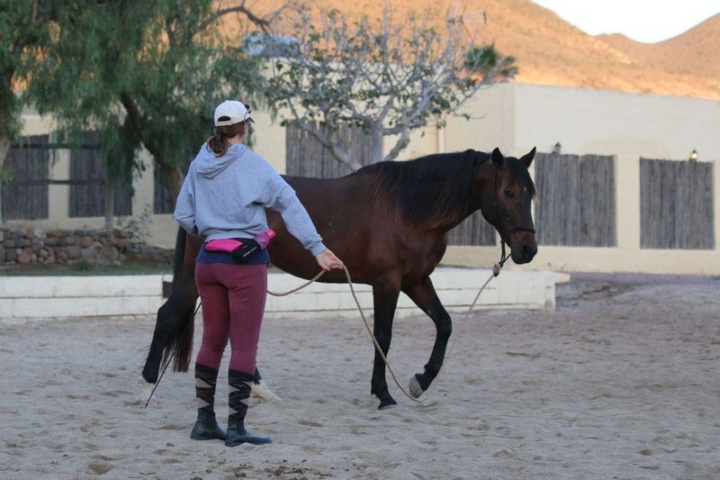 horseback holiday in Andalusia