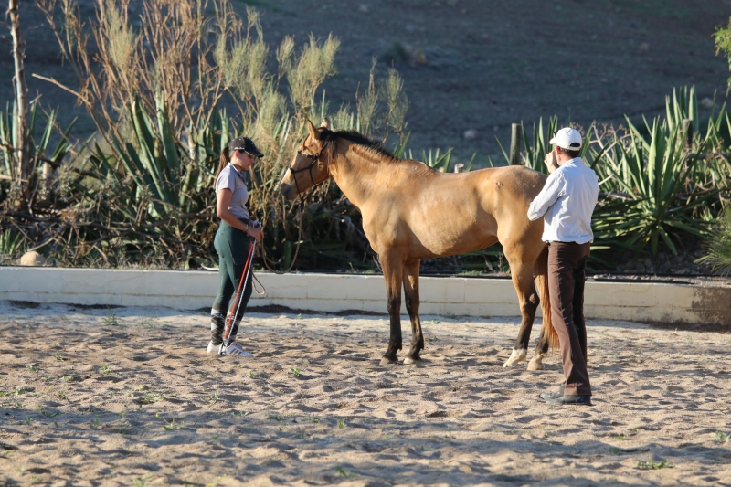 equestrian holiday in Andalusia