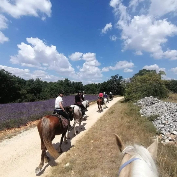 horseback riding provence